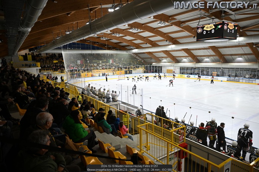 2024-10-19 Mastini Varese-Hockey Feltre 01251